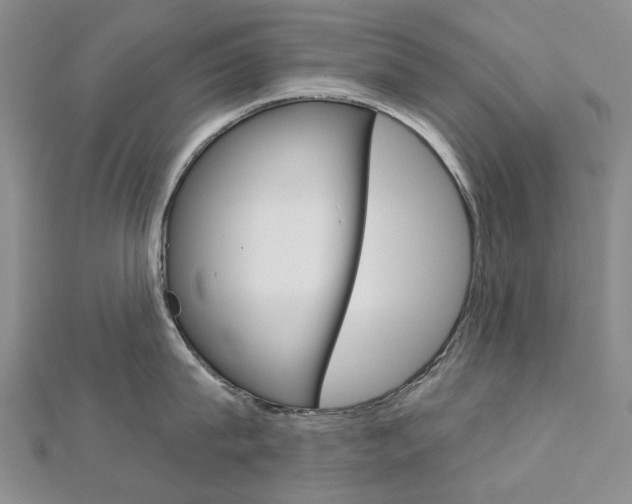 X0000113160815200909040951