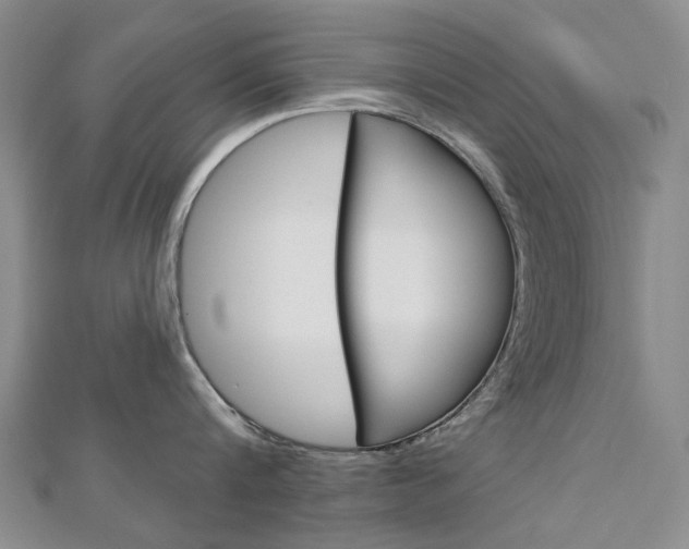 X0000113160816200909040951