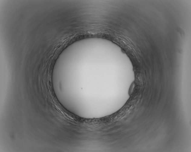 X0000113160817200909040951
