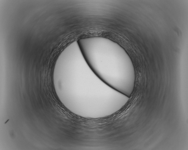 X0000113160818200909040951