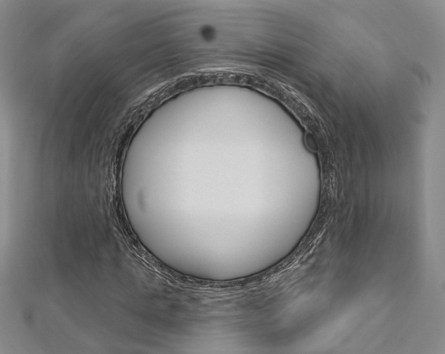 X0000113160821200909040951