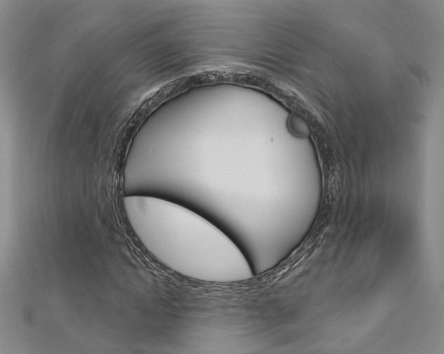 X0000113160822200909040951