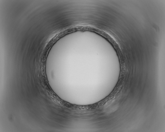 X0000113160823200909040951