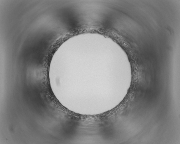 X0000113160824200909040951
