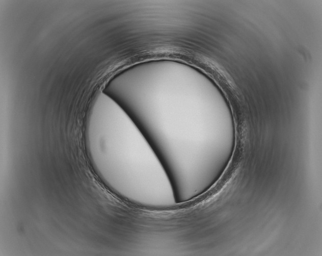 X0000113160825200909040951