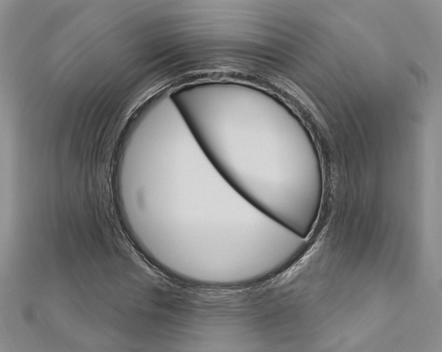 X0000113160826200909040951