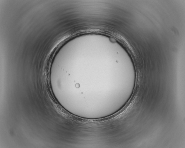 X0000113160827200909040951