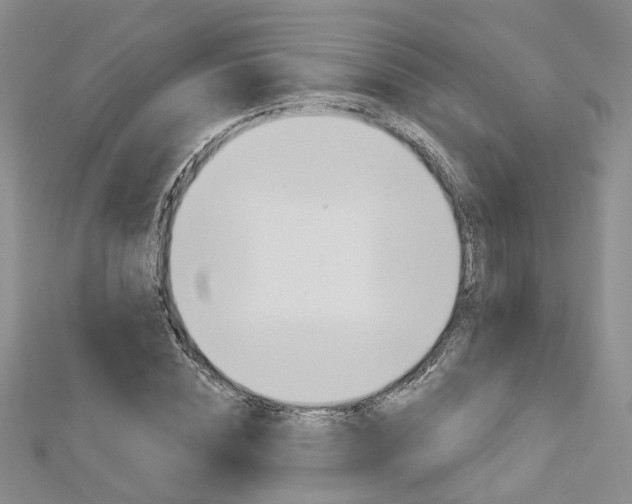 X0000113160828200909040951