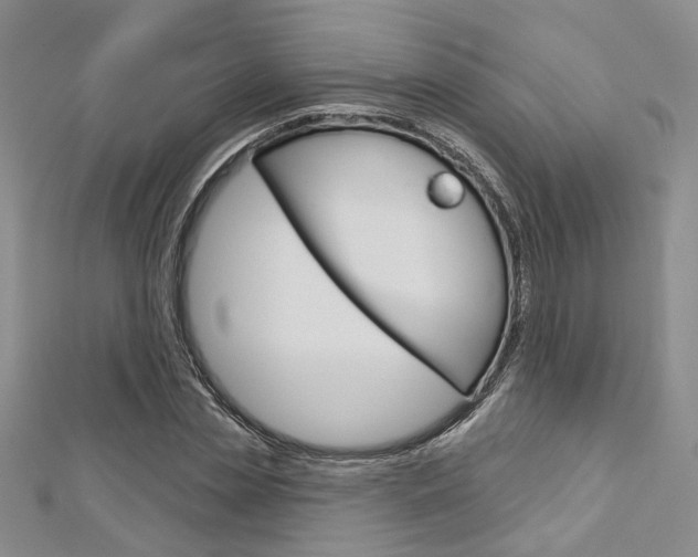 X0000113160829200909040951