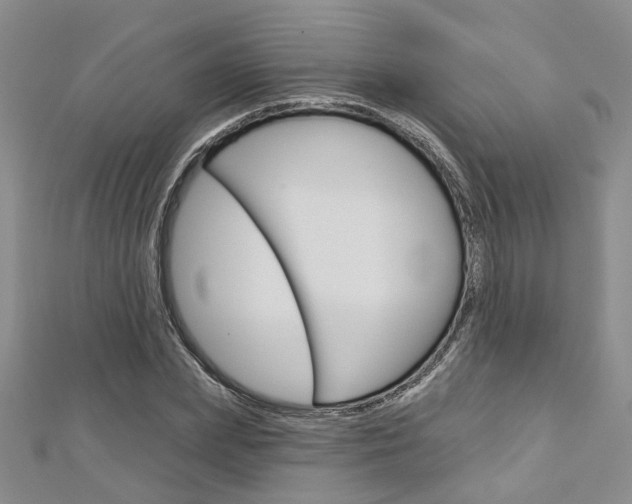 X0000113160831200909040951