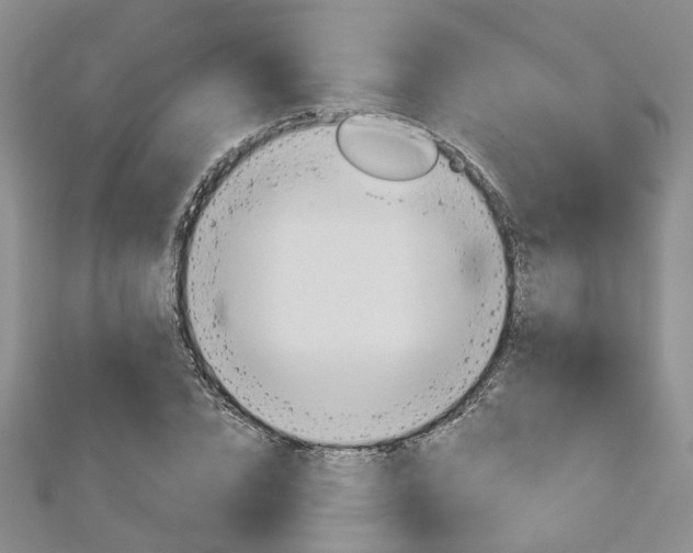 X0000113160832200909040951