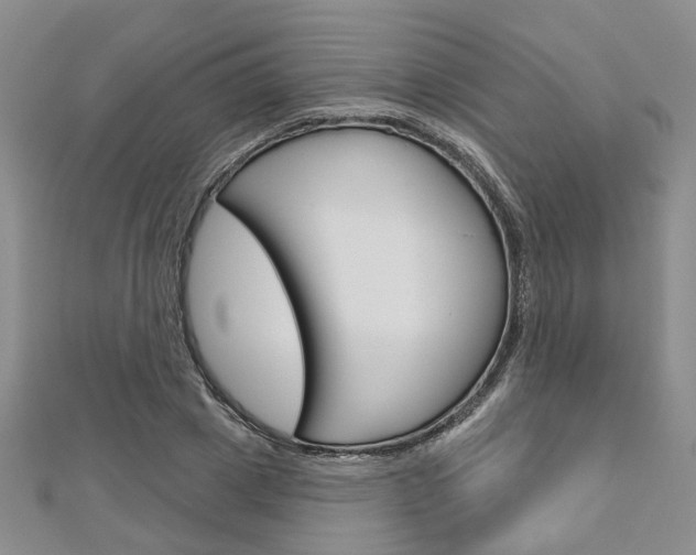 X0000113160833200909040951