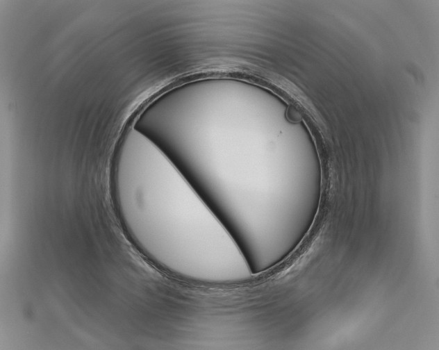 X0000113160834200909040951