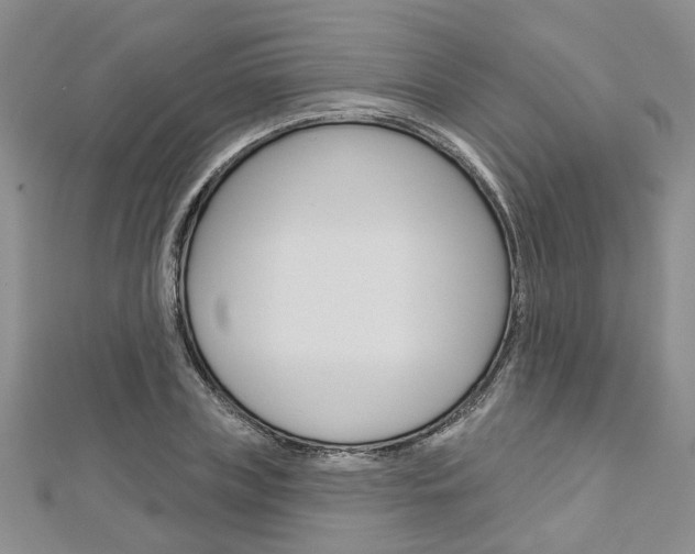 X0000113160835200909040951