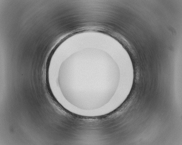 X0000113160836200909040951