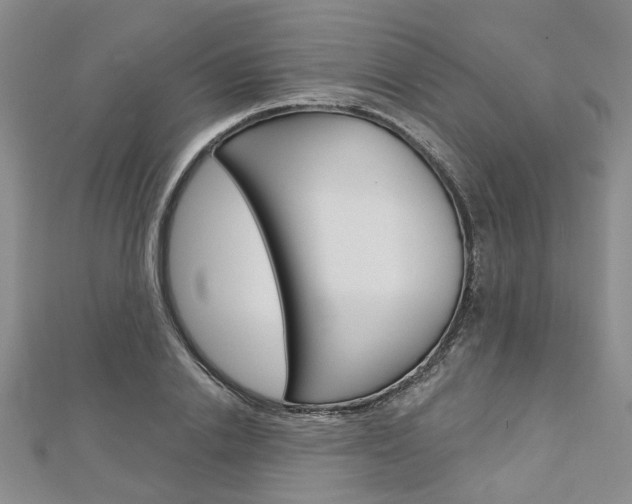 X0000113160838200909040951