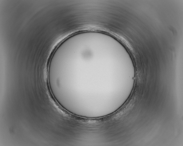 X0000113160839200909040951