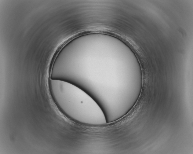 X0000113160840200909040951