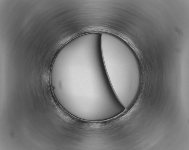 X0000113160841200909040951