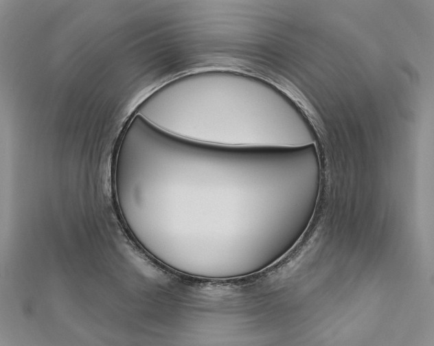 X0000113160842200909040951