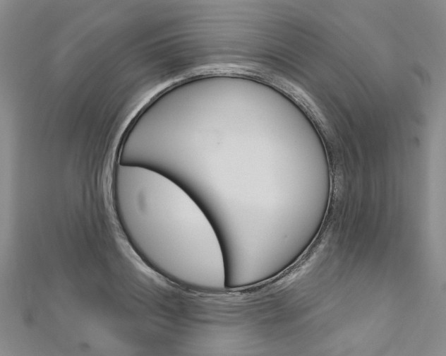 X0000113160844200909040951