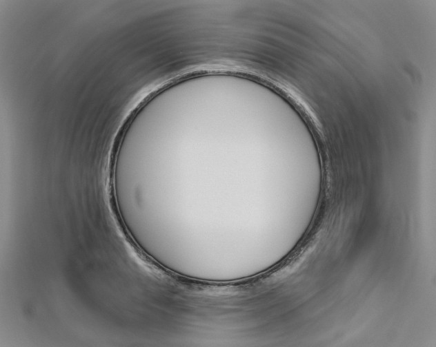 X0000113160845200909040951