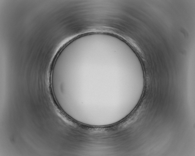 X0000113160846200909040951