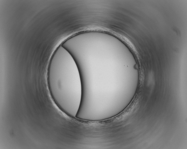 X0000113160847200909040951