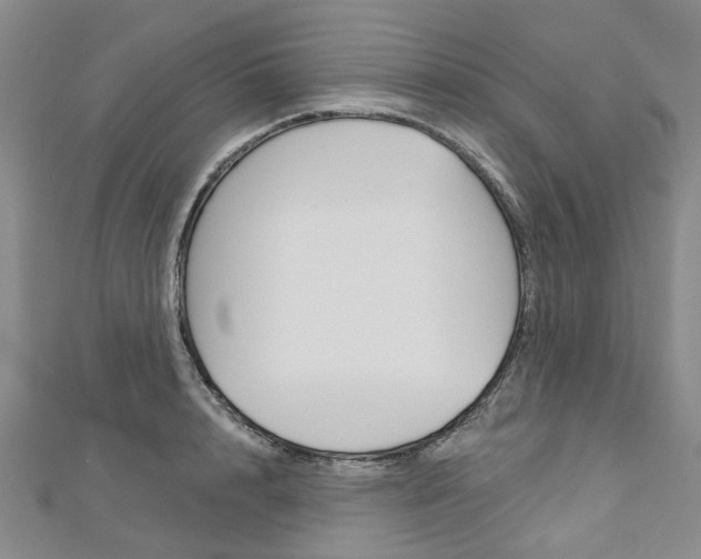 X0000113160848200909040951