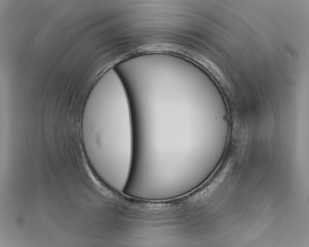 X0000113160849200909040951