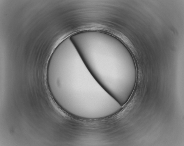 X0000113160850200909040951