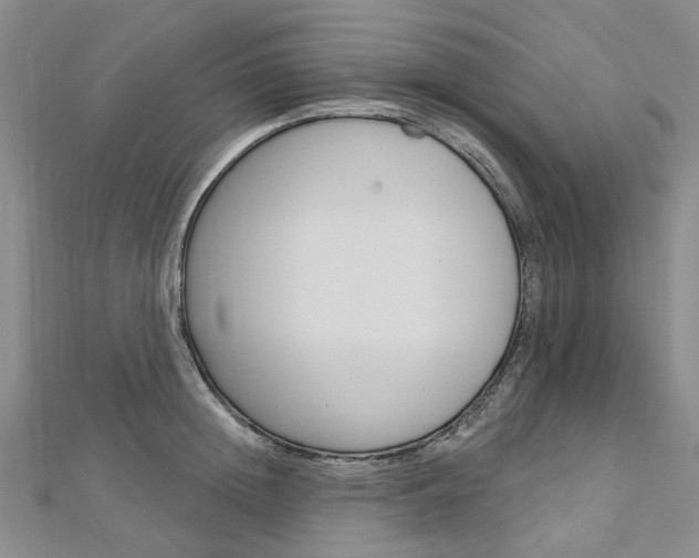 X0000113160852200909040951
