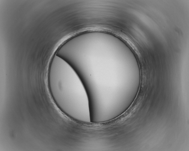 X0000113160853200909040951