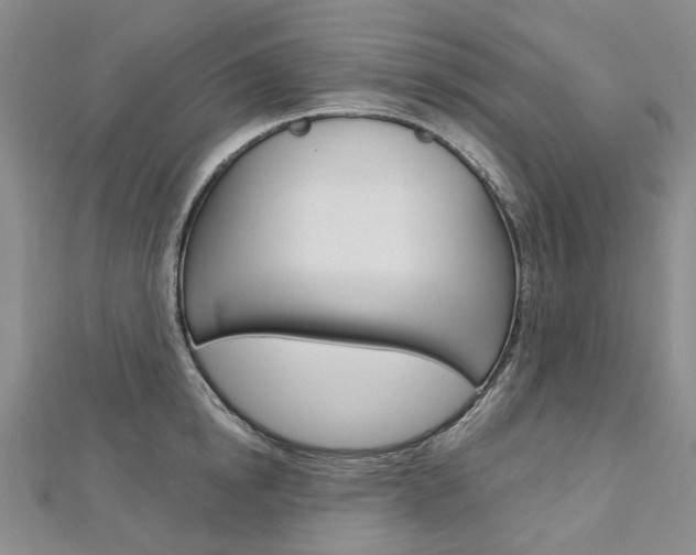 X0000113160854200909040951
