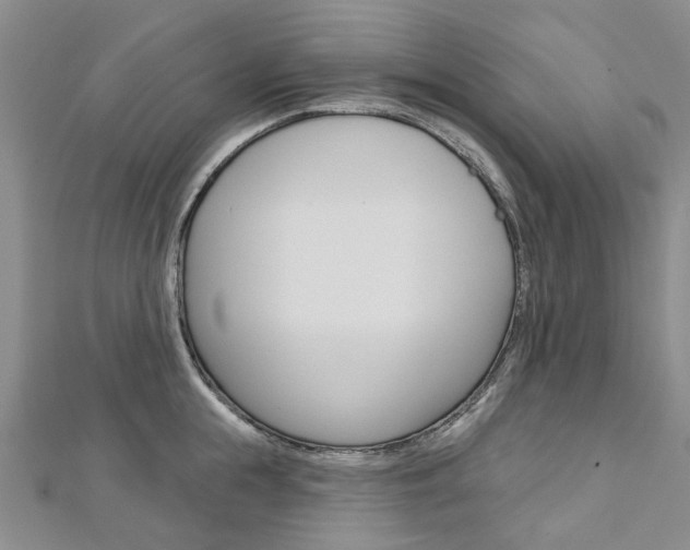 X0000113160855200909040951