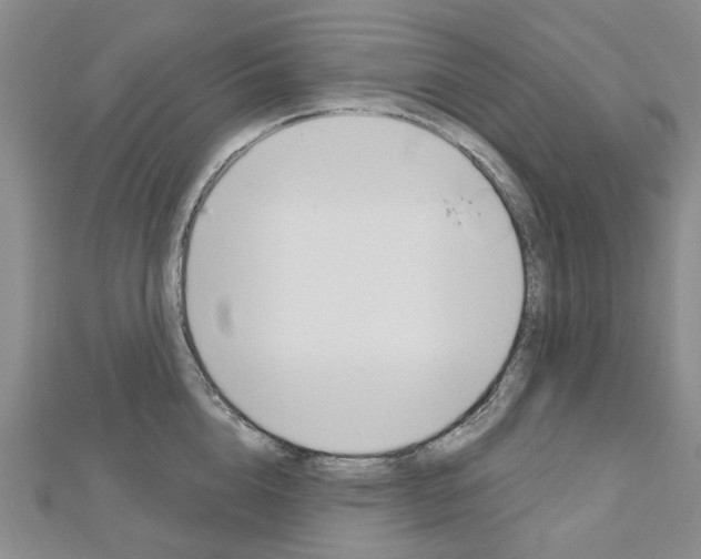 X0000113160856200909040951