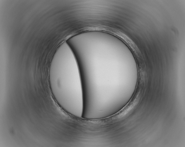 X0000113160857200909040951
