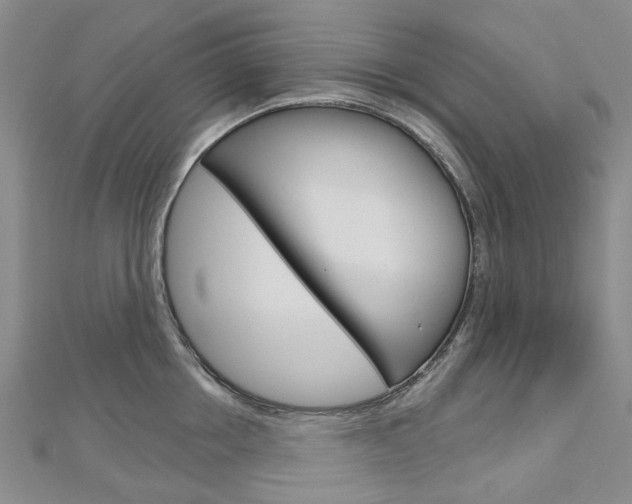 X0000113160858200909040951