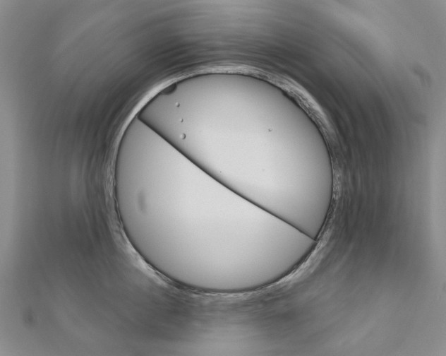 X0000113160860200909040951