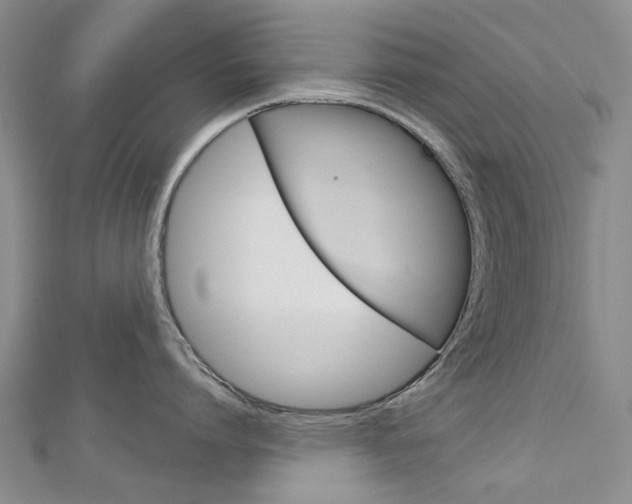 X0000113160864200909040951