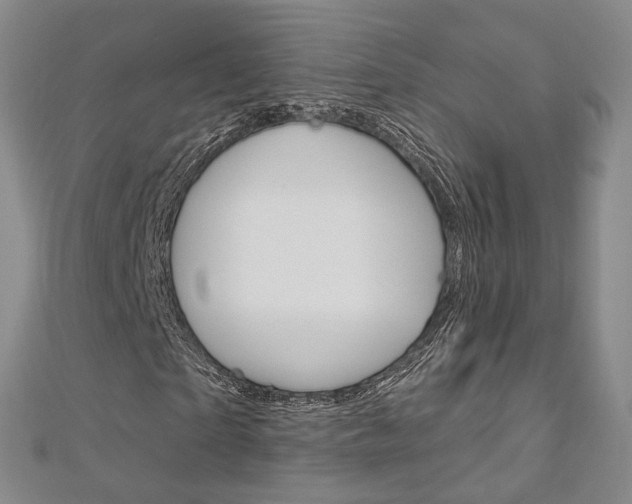 X0000113160865200909040951
