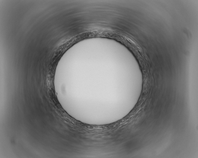 X0000113160869200909040951