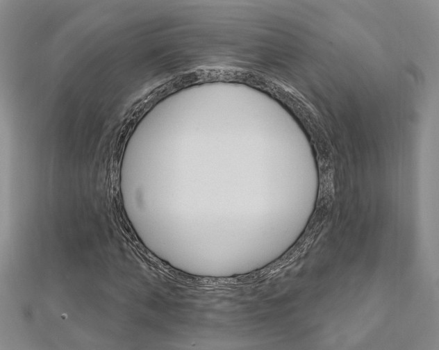 X0000113160870200909040951