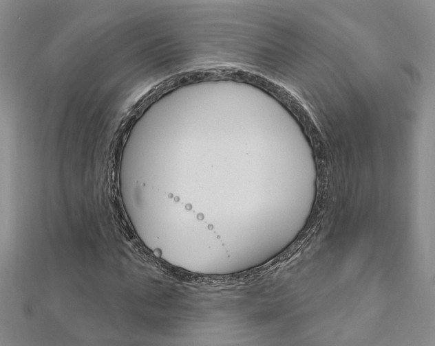 X0000113160871200909040951