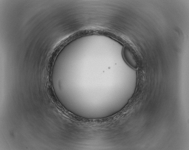 X0000113160872200909040951