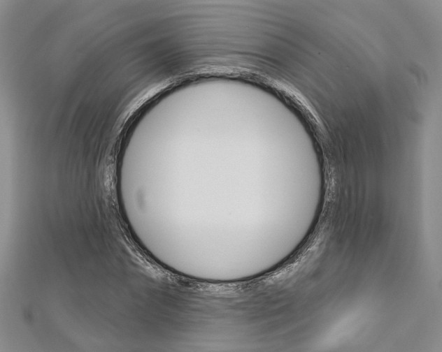 X0000113160874200909040951