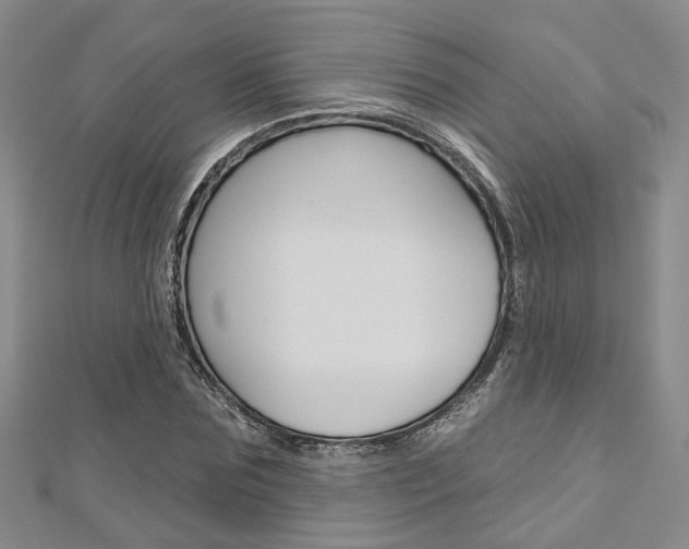 X0000113160875200909040951