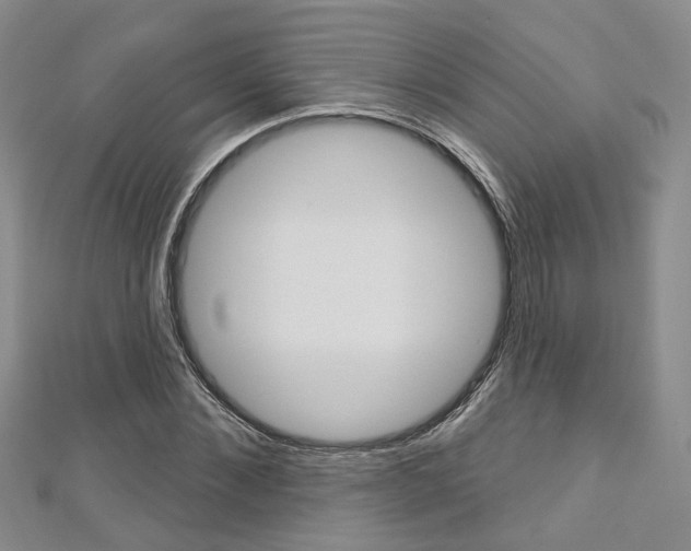 X0000113160876200909040951