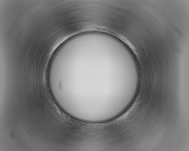 X0000113160877200909040951