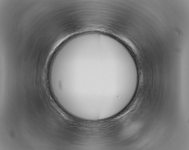 X0000113160878200909040951